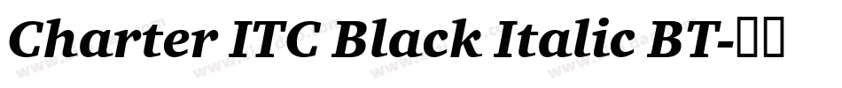 Charter ITC Black Italic BT字体转换